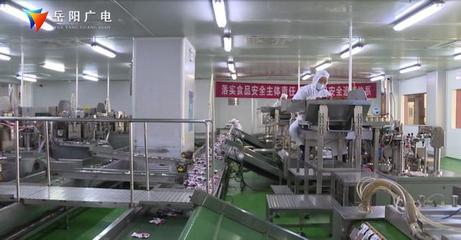 第四届岳阳市长质量奖企业展示 华文食品多措并举提质量 劲仔产品获认可