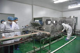 鄄城县市场监管局持续推进食品生产企业 清洁工厂 行动