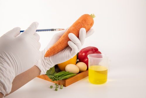 胡萝卜食品安全农业科技食品培育摄影图 插画 下载至来源处