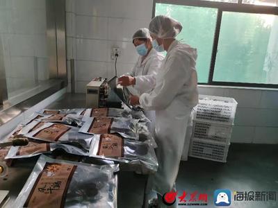 莱芜“御嬴府”风干鸡:坚守传统工艺 传承匠人精神