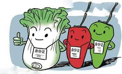 注重食品安全,从你我做起