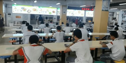 食品安全宣传月 开展校园食品安全守护行动,保障师生 舌尖上的安全