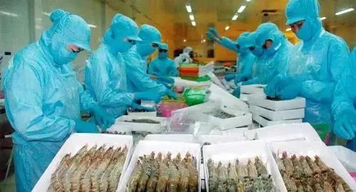 【进出口食品安全】解读|关于撤销2家印度水产品生产企业在华注册资格的公告