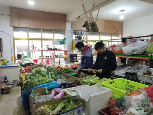 嘎美乡开展食品药品安全专项大检查