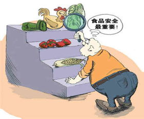 食品安全手抄报 食品安全与健康同行