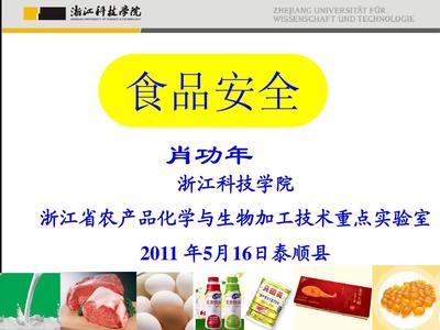 食品安全报告PPT