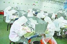 宁波引领世界果蔬加工新潮流(图)【1】-新闻频道-手机