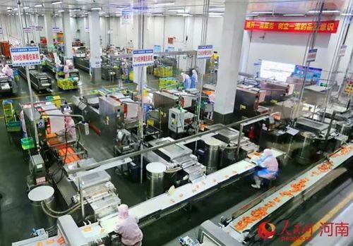走进 中国食品名城 漯河,探访双汇 卫龙工厂