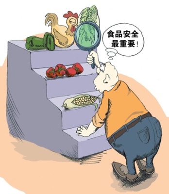 李磊冷眼看世界:中国食品安全问题解决之道