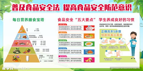 校园安全食品设计图