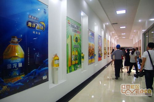 网友走进第二届食品安全周