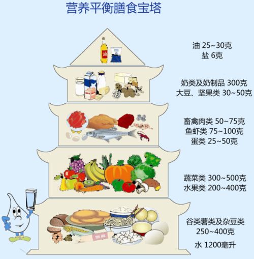 食品安全，人人有责——2020年食品安全日主题思考