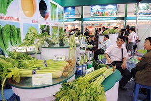 食品安全 国人最担忧的健康隐患